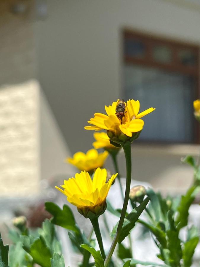 Tea Bush Hotel Nuwara Eliya Zewnętrze zdjęcie